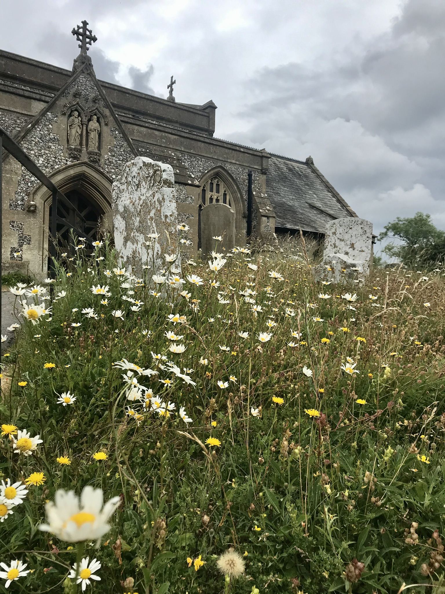 E9682325-846A-4D3F-8017-592963261CD3